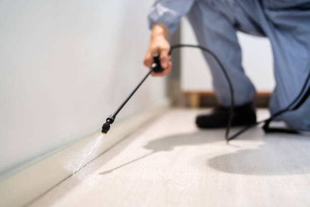 Licensed Termite Control service in Rock Hall, MD - Show Me Pest Control