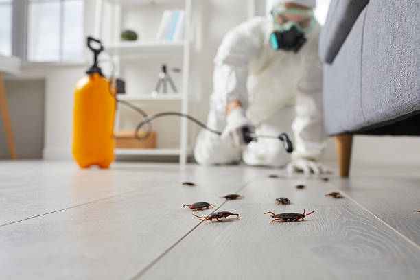 Commercial Kitchen Cockroach Control in Rock Hall